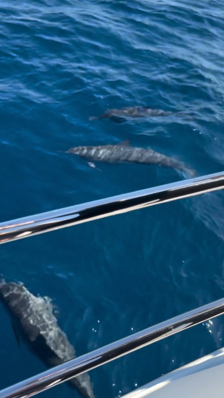 Video: Wanda Nara y Martín Migueles navegaron junto a delfines y mostraron la intimidad del yate (Fotos: Instagram)