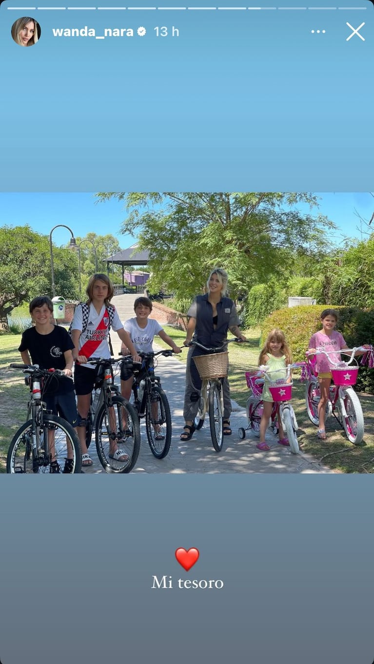 Wanda Nara con sus hijos (Foto: captura de Instagram).