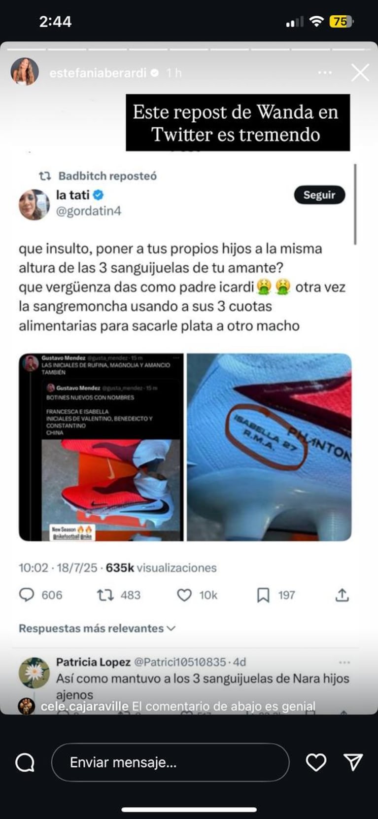 Wanda Nara contra la China Suárez (Foto: captura de Instagram/@estefaniaberardi).