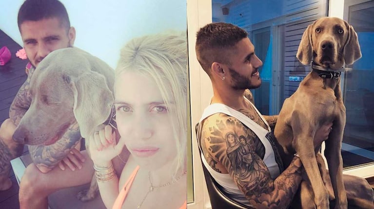 Wanda Nara, Mauro Icadi y Coco, la mascota de la familia (Foto: Instagram @wanda_nara)