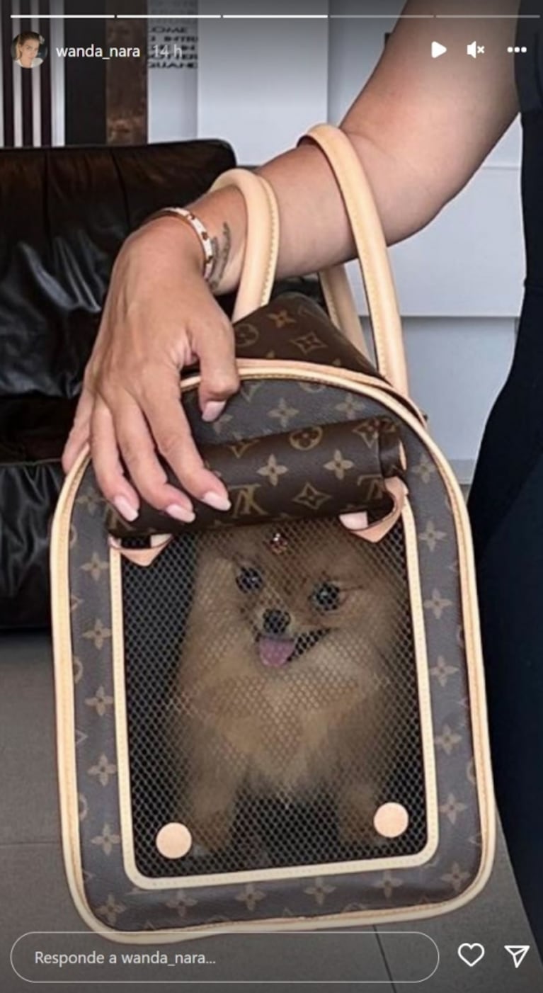 Wanda Nara mostró el exclusivo bolso en el que lleva a su perrita cuando viaja