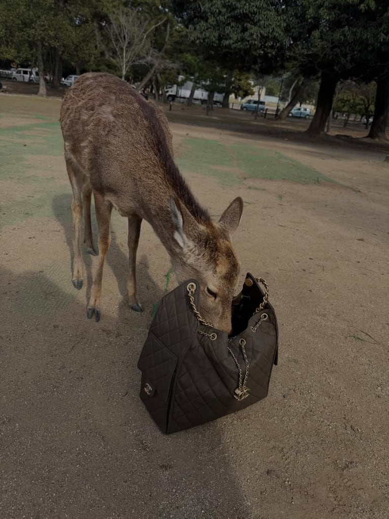Wanda Nara mostró su impactante tour por el mundo (Foto de Instagram)