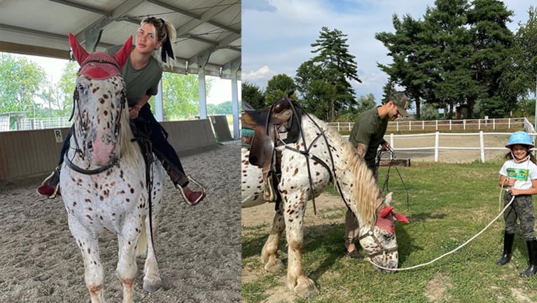 Wanda Nara presentó al caballo que le regaló a su hija Francesca.
