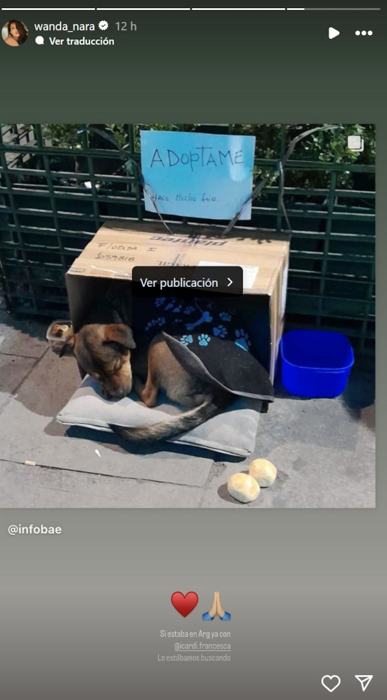 Wanda Nara se sumó a la campaña para encontrarle hogar a un cachorro abandonado: su contundente posteo