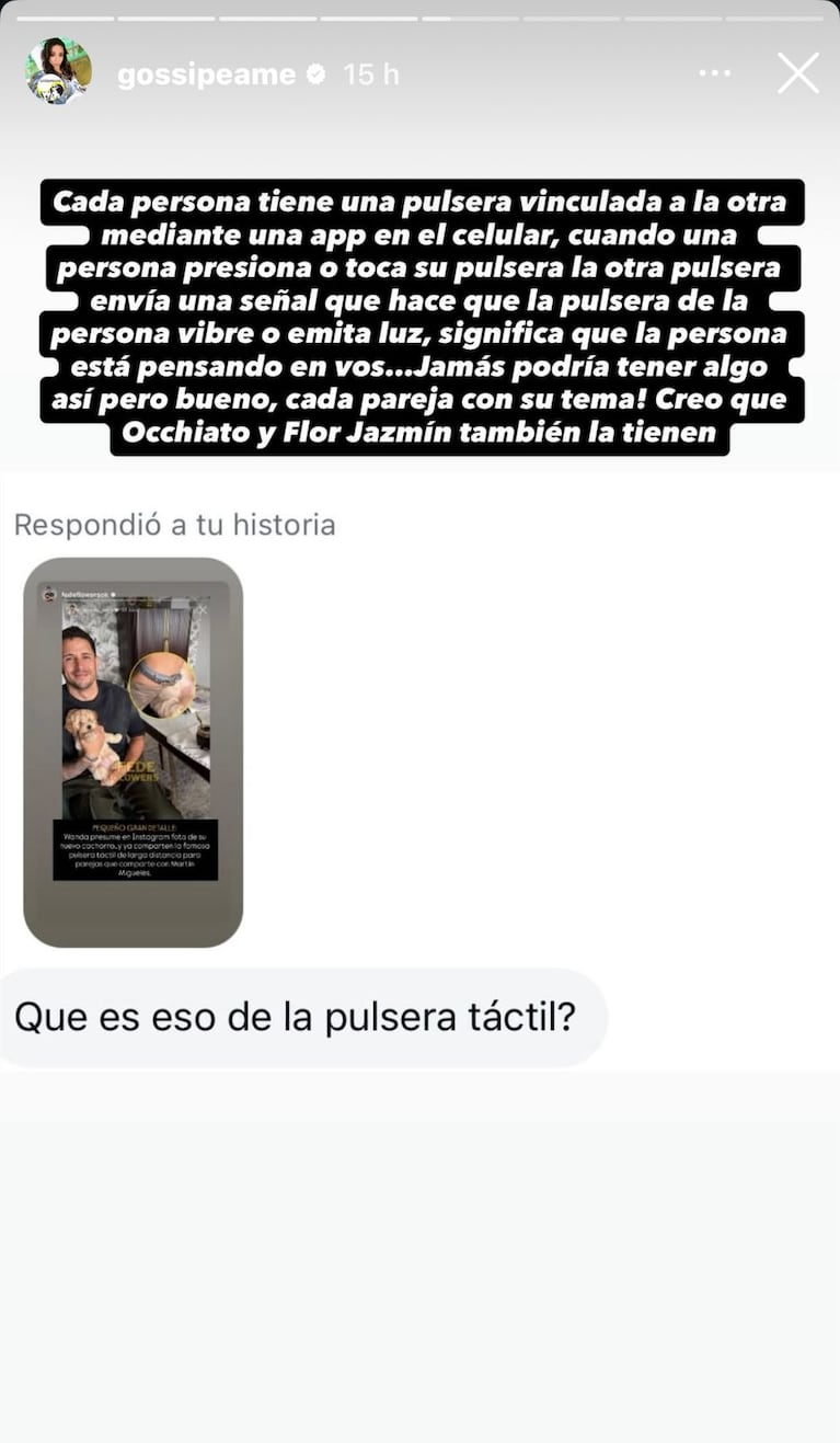 Wanda Nara y Martín Migueles tienen una pulsera táctil (Foto: captura de Pochi de Gossipeame