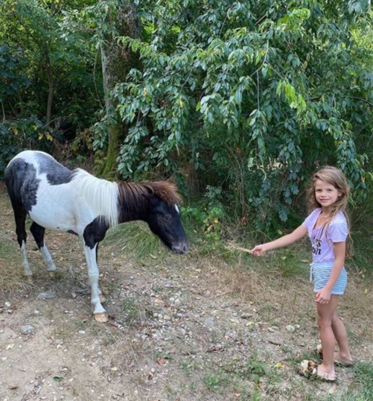Wanda Nara y Mauro Icardi les regalaron ponis a sus hijas y estallaron las críticas: "Francesca encontró el caballo de sus sueños"