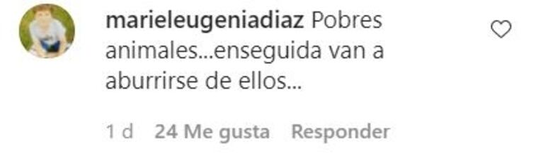 Wanda Nara y Mauro Icardi les regalaron ponis a sus hijas y estallaron las críticas: "Francesca encontró el caballo de sus sueños"