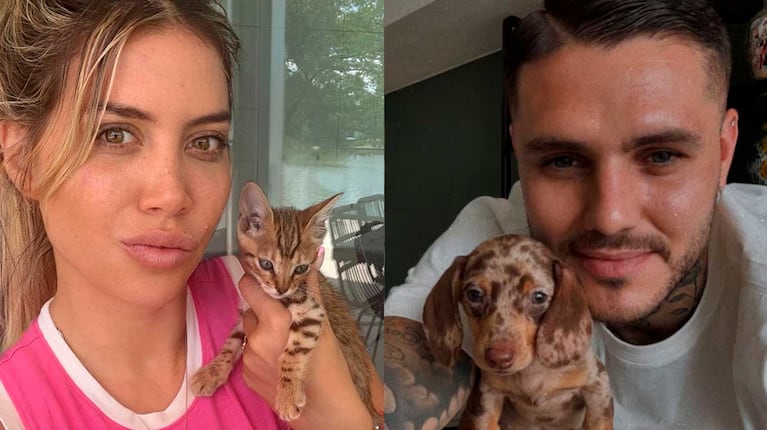 Wanda Nara y Mauro Icardi solían posar con sus mascotas en las redes sociales (Fotos: Instagram @wanda_nara y @mauroicardi)