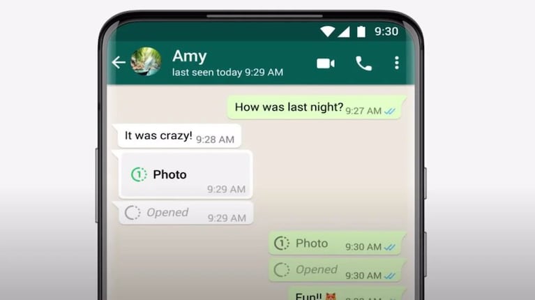 WhatsApp corrigió un error que impedía compartir vídeos con otros contactos: qué pasaba