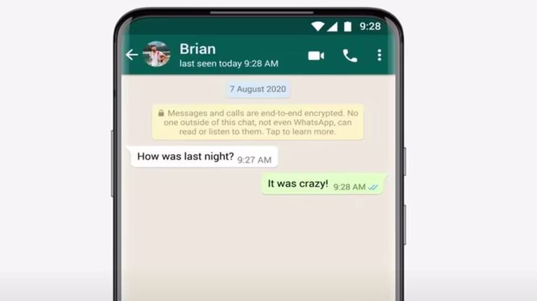 WhatsApp trabaja para destacar los contactos marcados como favoritos: ¿Qué está preparando?