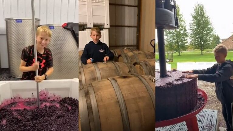 Wyatt Youngblood, con tan solo 12 años, es un productor de vino que colabora en la bodega de su familia