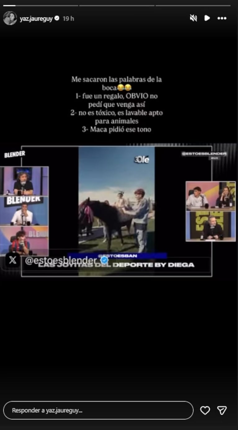 Yaz Jaureguy rompió el silencio tras las críticas por el pony de su hija con la crin rosa: “No la hubiese pintado”. Crédito: Instagram