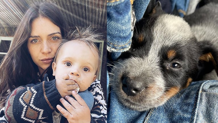 Zaira posteó tiernas fotos de su hijito Viggo jugando con el cachorro.
