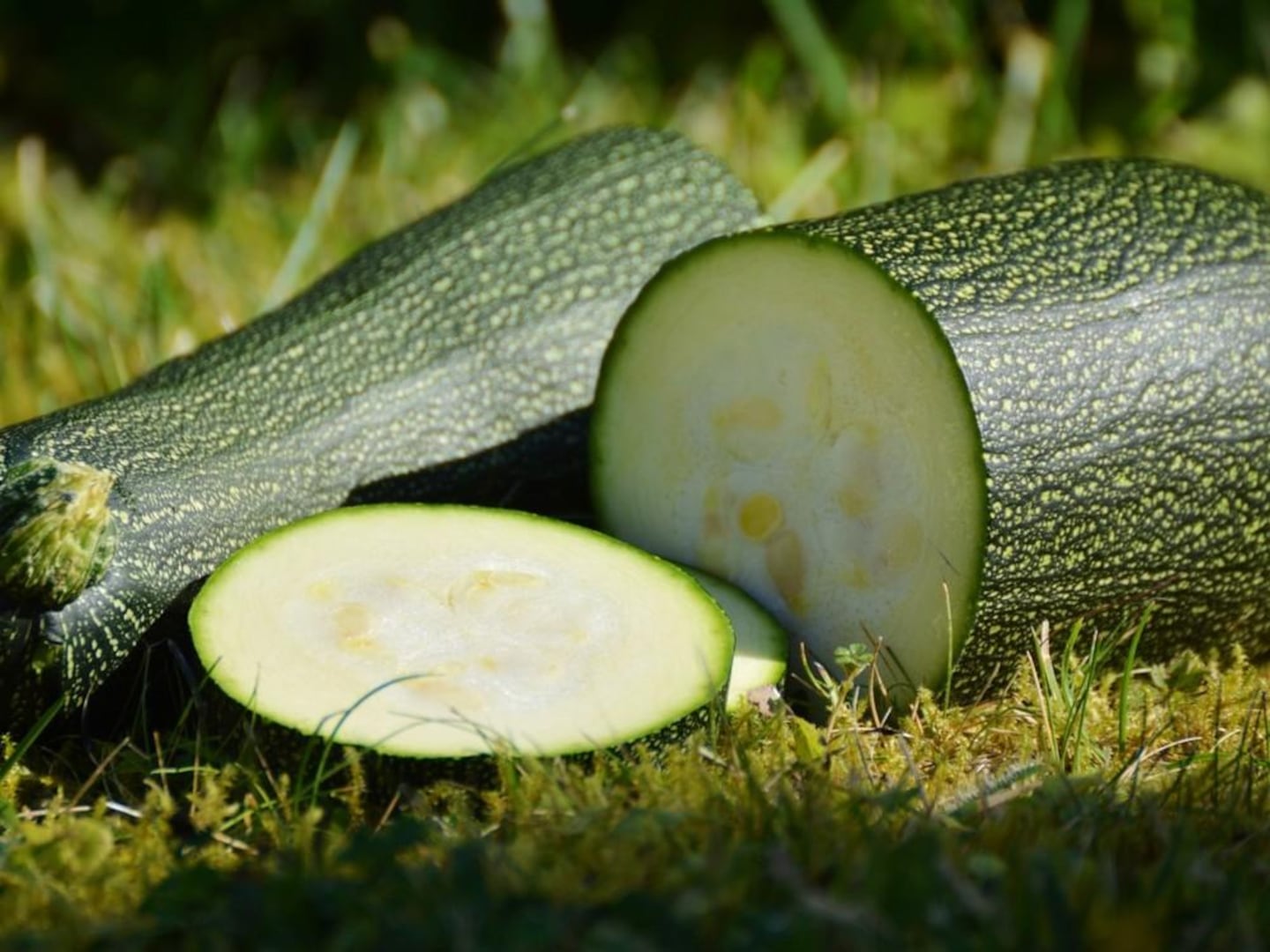 Zucchini: rico, nutritivo y beneficioso para tu salud