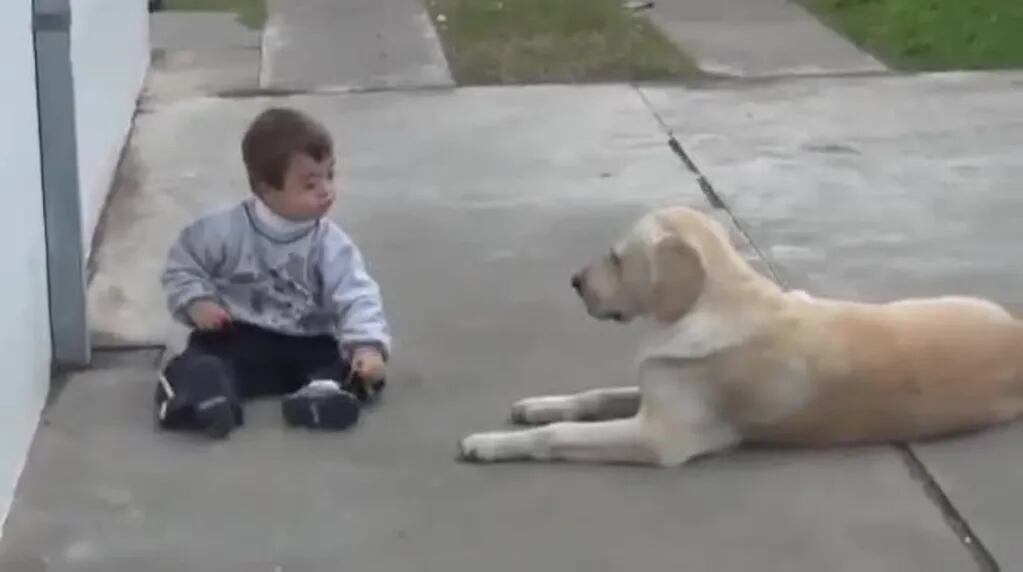 La amistad de un niño argentino con su perro que emociona al mundo 