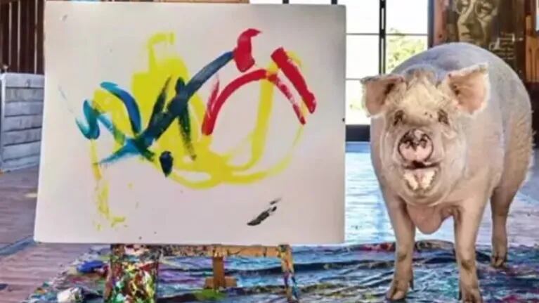 Este talentoso cerdo, conocido como Pigcasso, ha creado un cuadro único en solidaridad con Ucrania