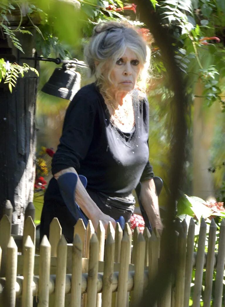 Así es la vida de Brigitte Bardot a pocos días de cumplir 80 años. (Foto: The Grosby Group)