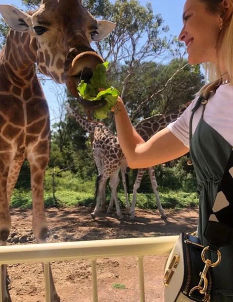 La divertida secuencia de Luisana Lopilato con una jirafa: "Al final nos hicimos mejores amigas"
