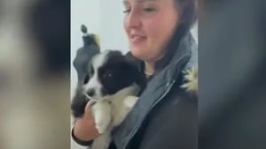 La reacción de esta familia al ver a su nuevo cachorro