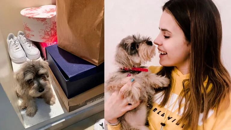 Sofi Morandi presentó su nuevo amor, su perrito Toto: ¡conocelo!