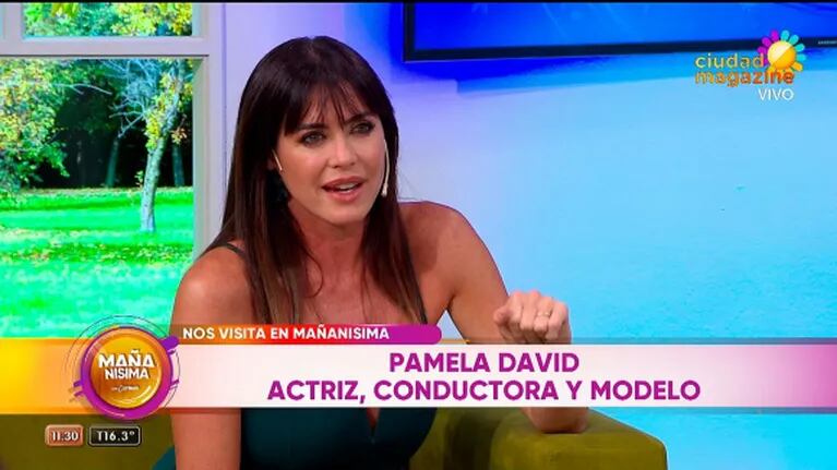 Pamela David se quebró en vivo al recordar una agresión que recibió en la calle: "Me dijeron andá a cuidar a tu hijo"