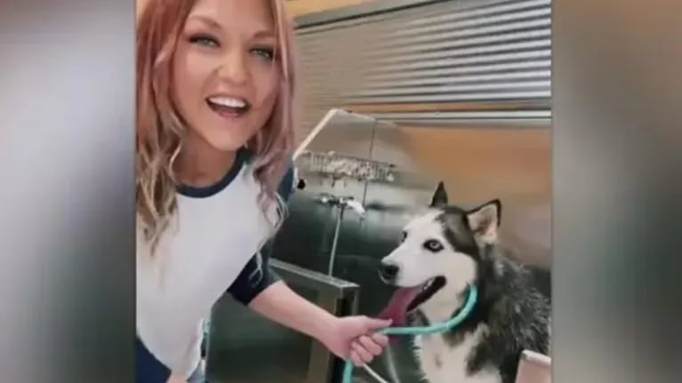 Este divertido vídeo muestra a un husky gritando como un humano