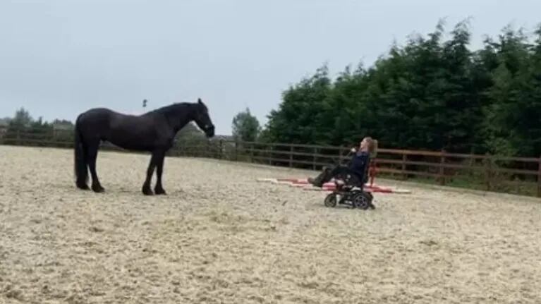Esta chica conduce caballos de competición en silla de ruedas