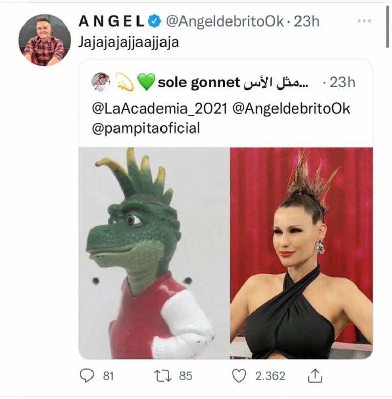 Ángel de Brito compartió un divertido meme sobre el exótico look "punk" de Pampita